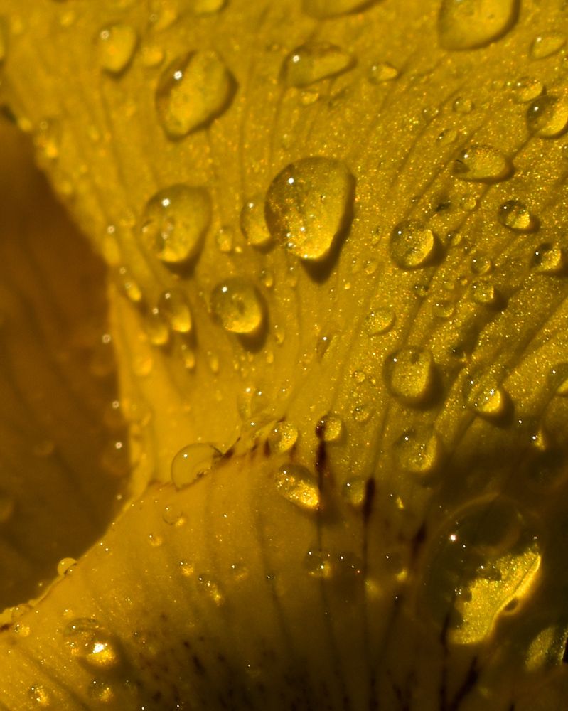 Photograph by Татьяна Носкович