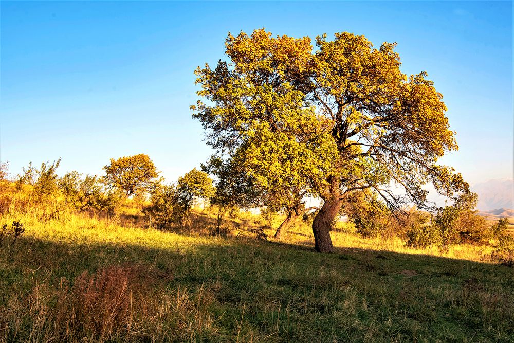 Photograph by Александр Грищенко
