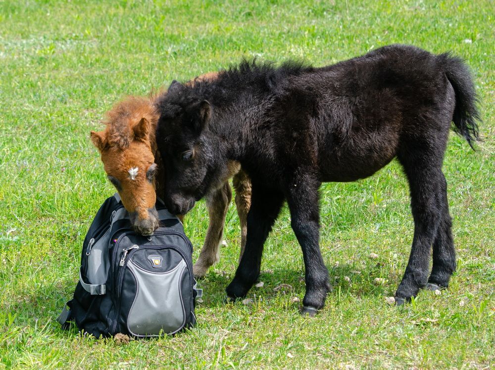 Photograph by Оксана Маховская