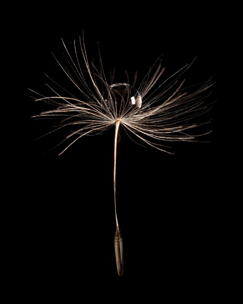 Photograph by Дмитрий Костяков