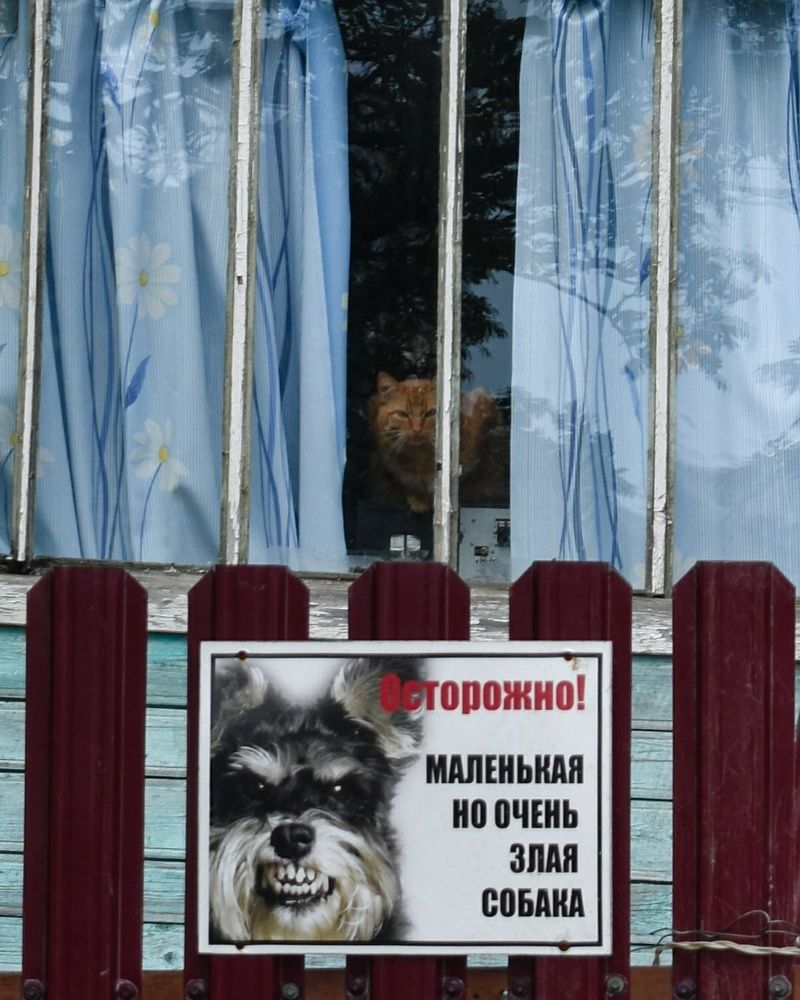 Photograph by Татьяна Носкович