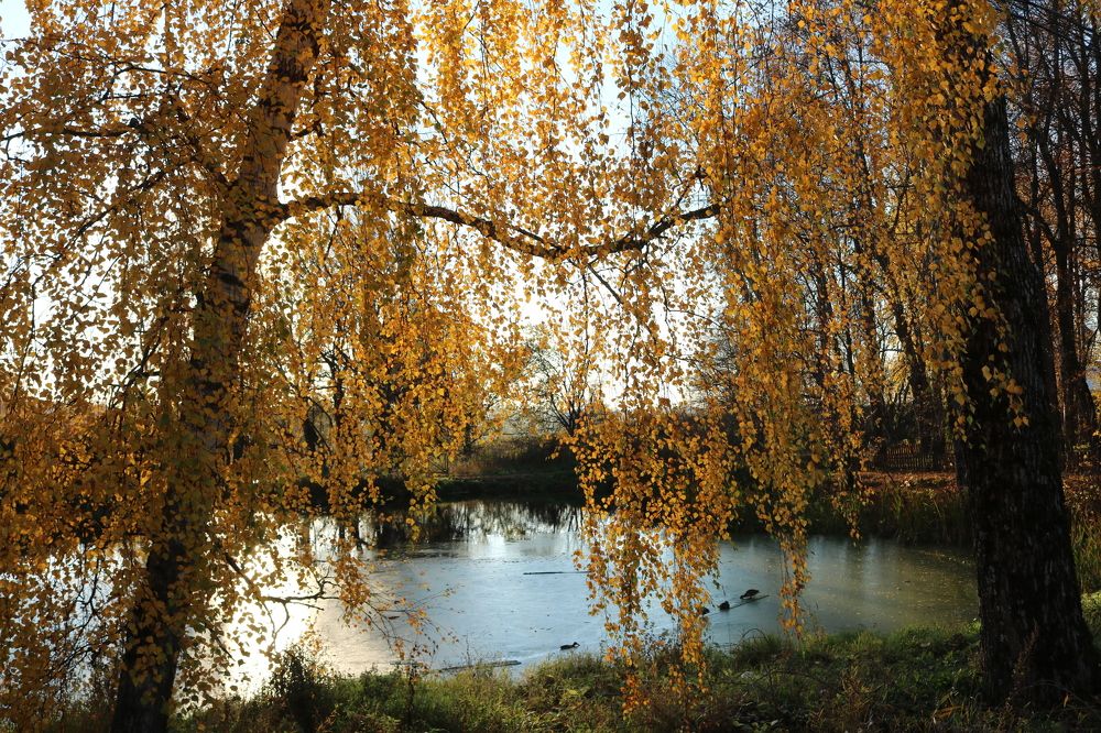 Photograph by Гюзель Даугуль