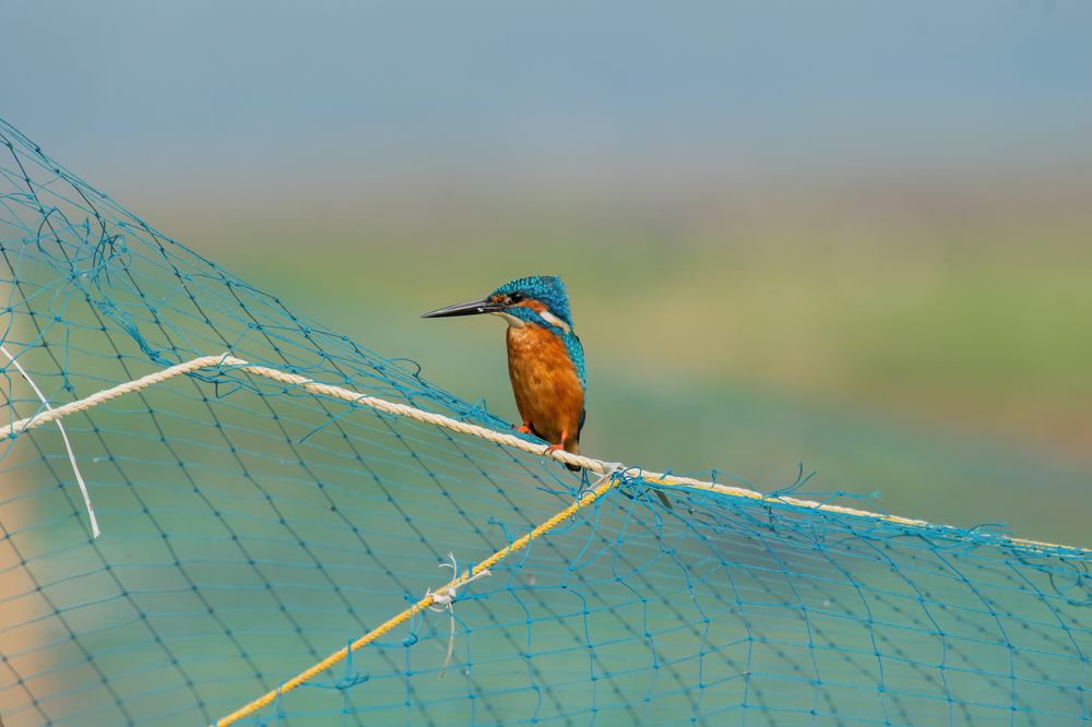 Фотография автора Anandhu M