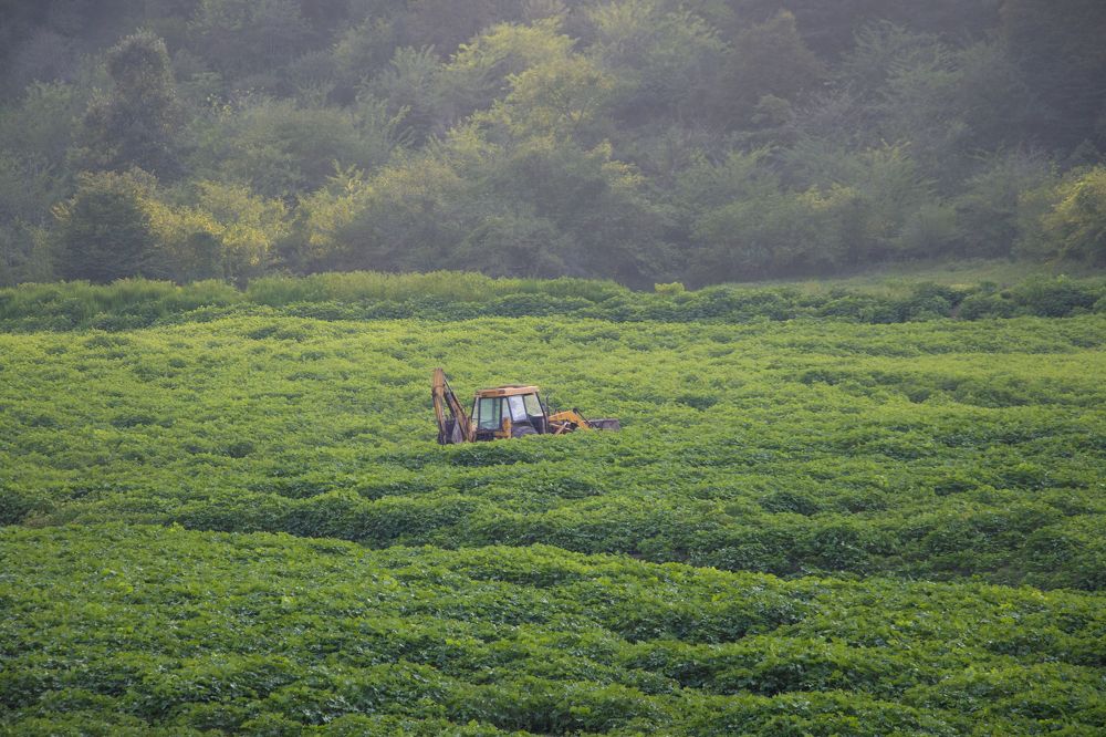 Photograph by mehdi shokravi