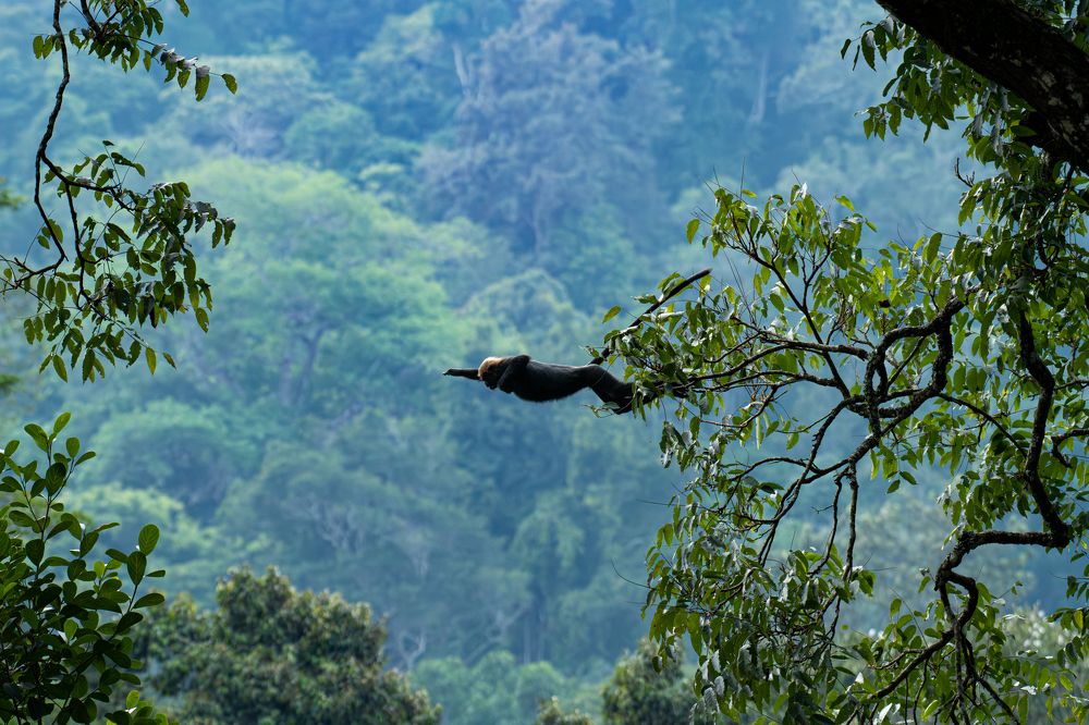 Photograph by Anandhu M