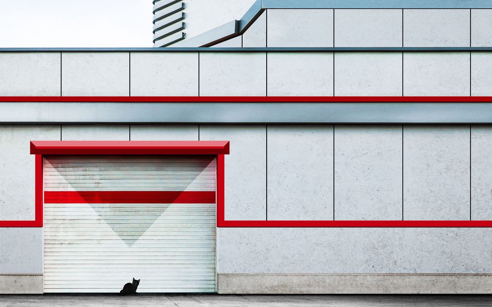 Фотография автора arastoo qadermazi