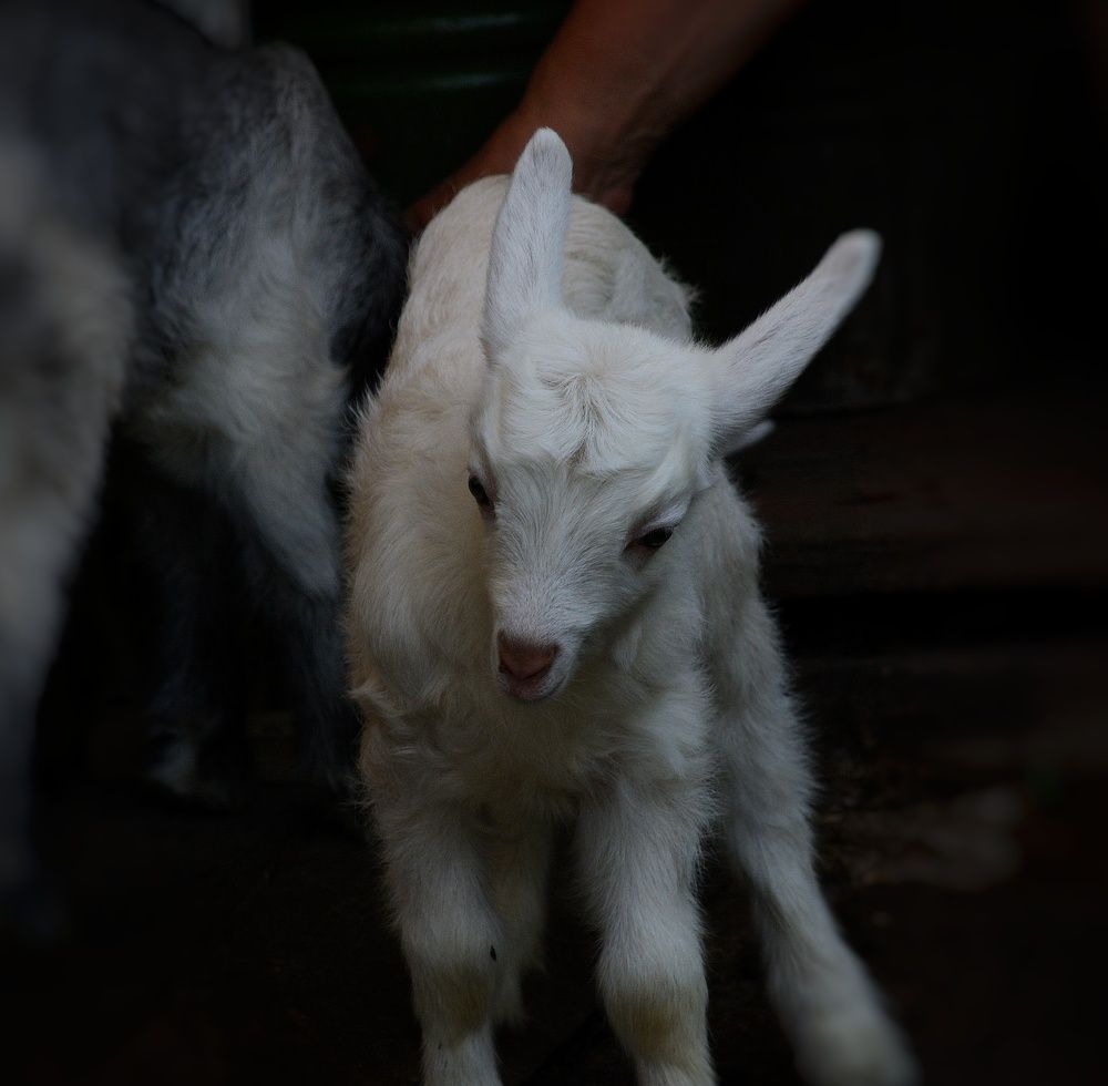 Photograph by Сергей Симаков