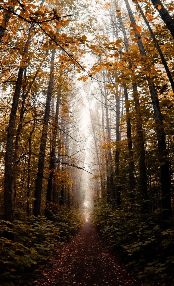 Photograph by Артём Аниськин