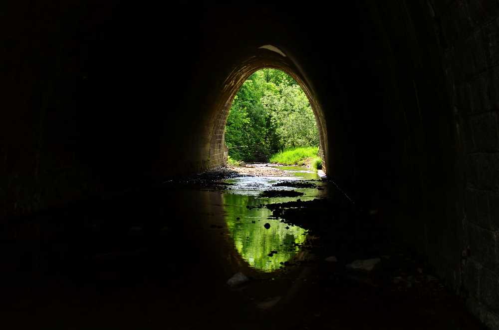 Photograph by Yana Plesakova