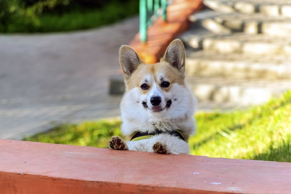 Photograph by Valery Kleymenov