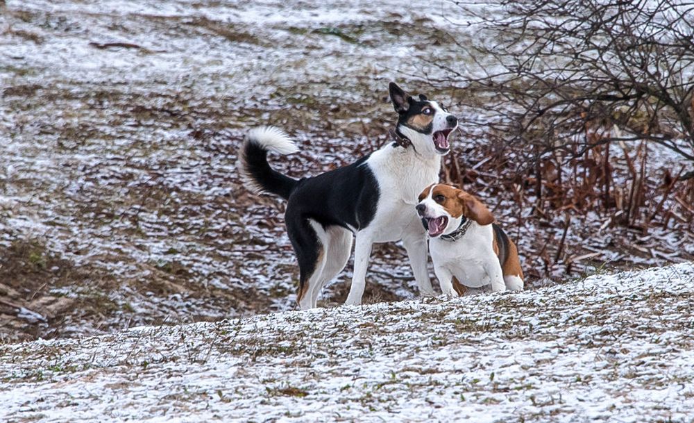 Photograph by Владимир Безбородов
