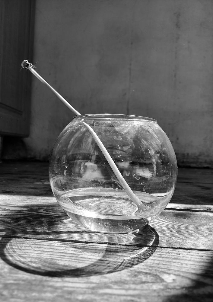 Photograph by Елена