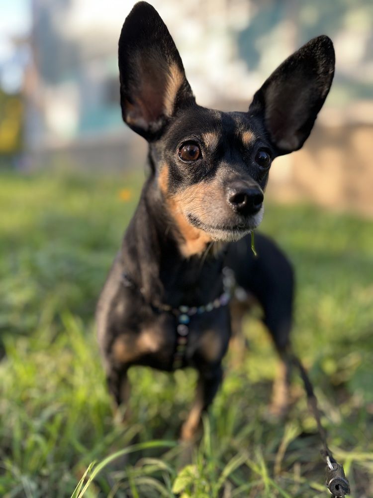 Photograph by Наталья Романова