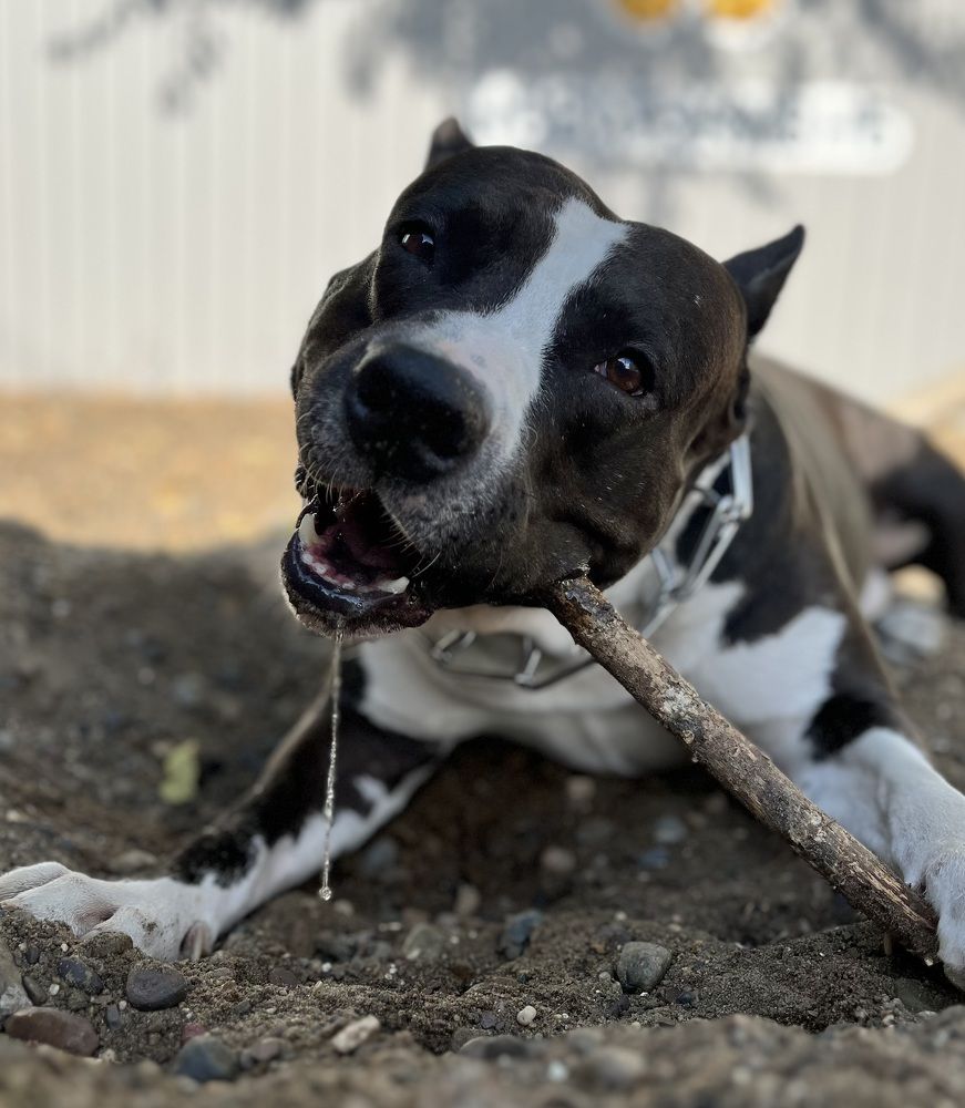 Photograph by Наталья Романова