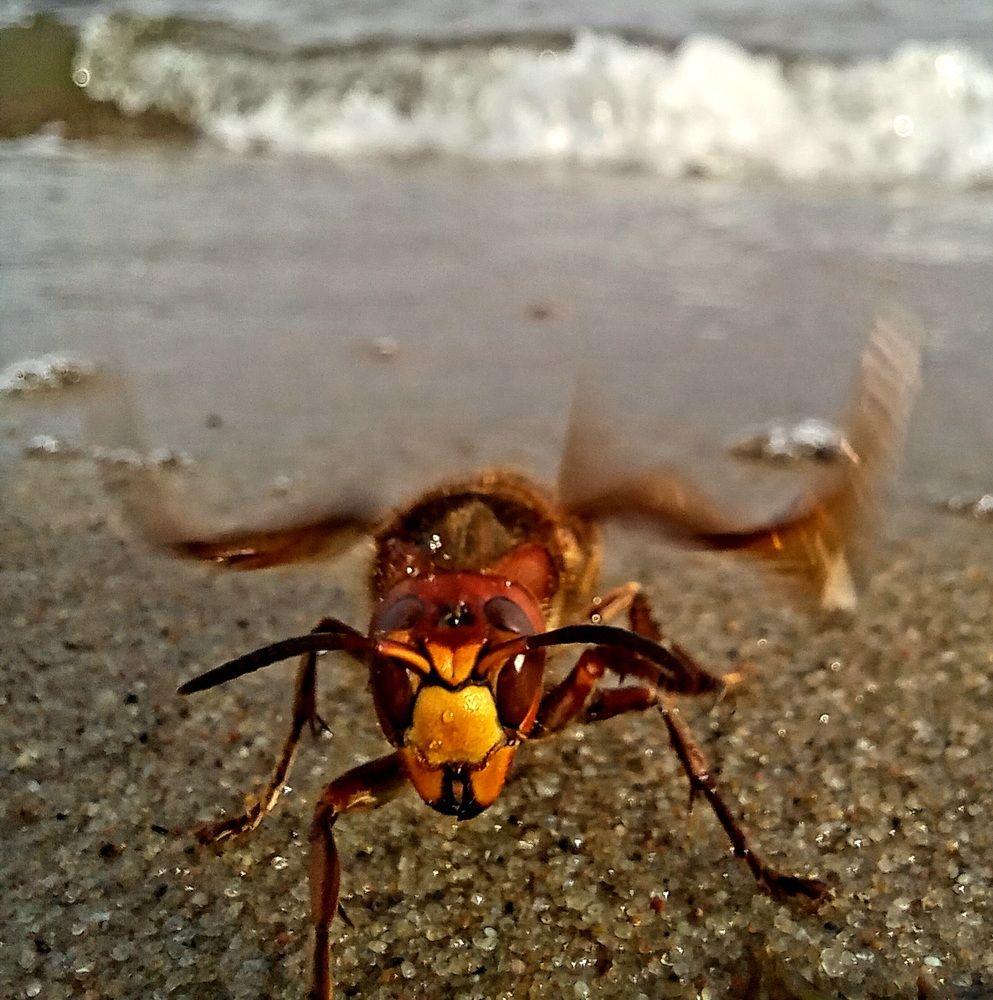 Photograph by Владимир Кублицкий