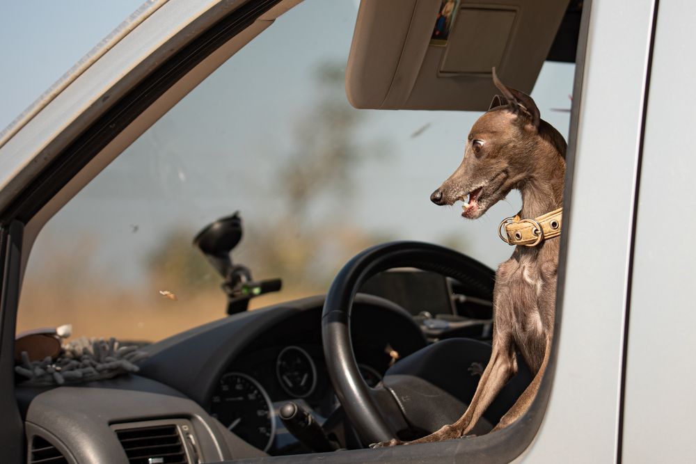 Photograph by наталья залогина