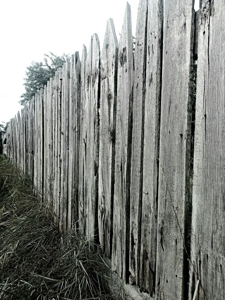 Балтийская коса