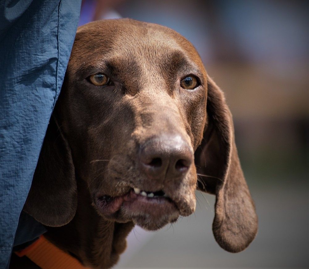 Photograph by наталья залогина