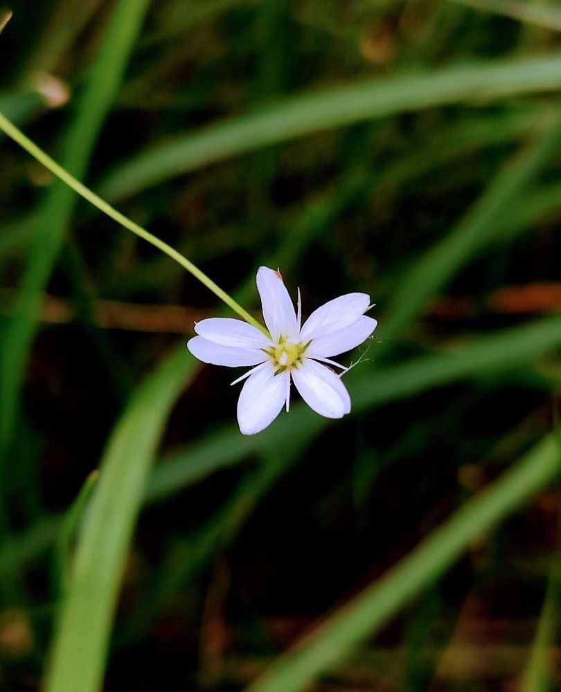 Photograph by Сидорова Ирина