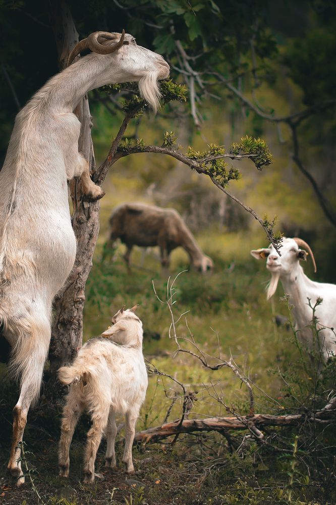 Фотография автора Барсуков Владимир