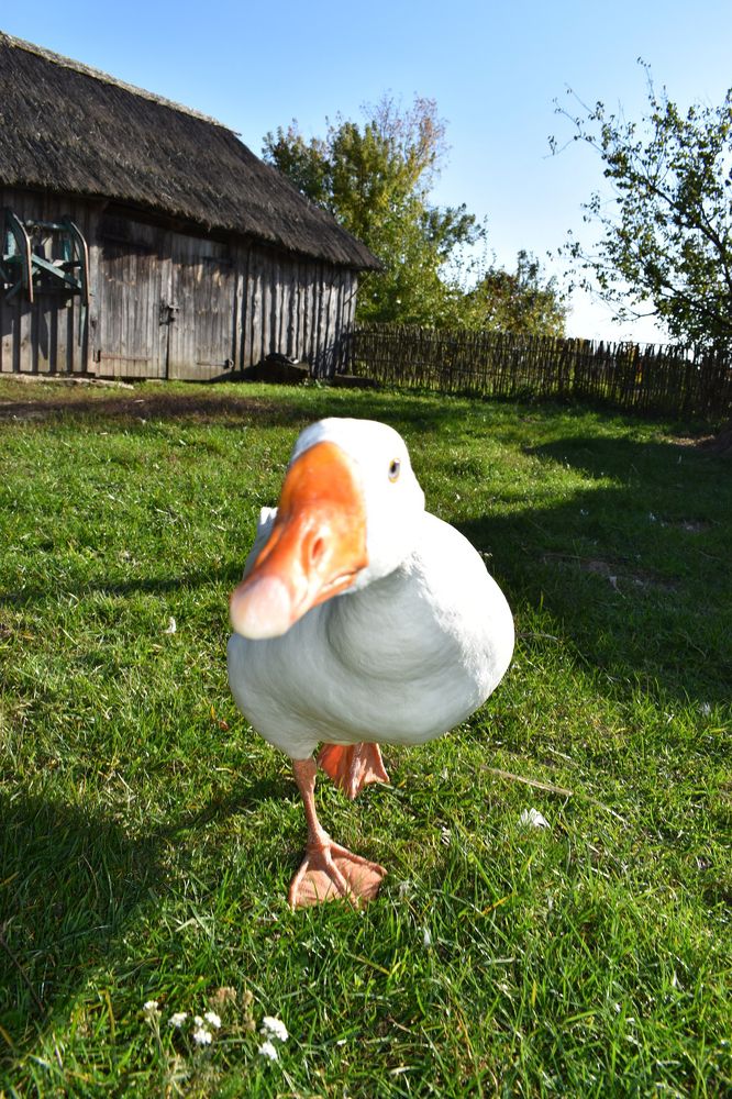 Photograph by Олена Лукашевич