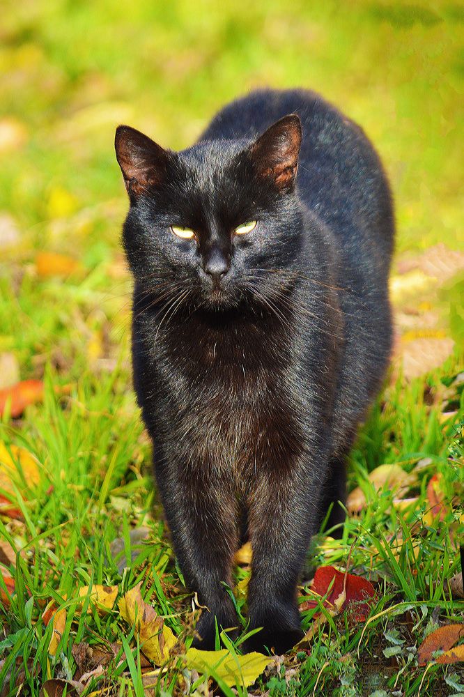 Photograph by Марина Канавченко