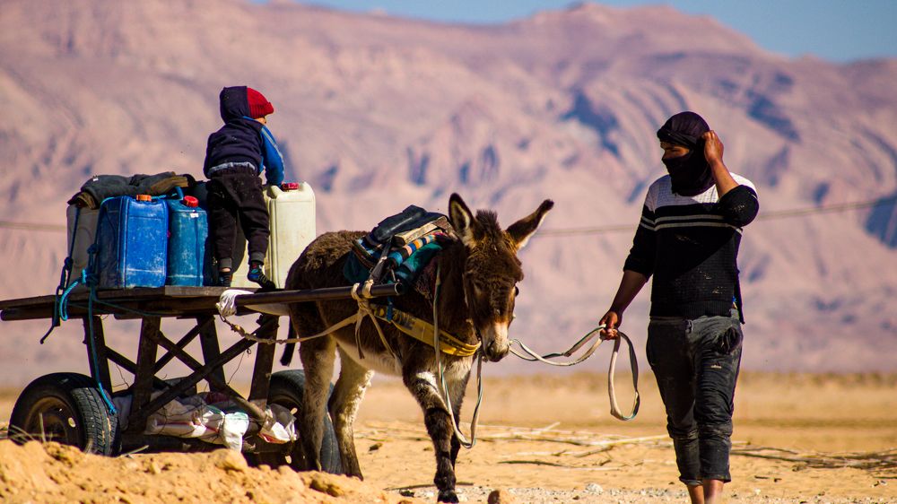 Photograph by Assal mouadh