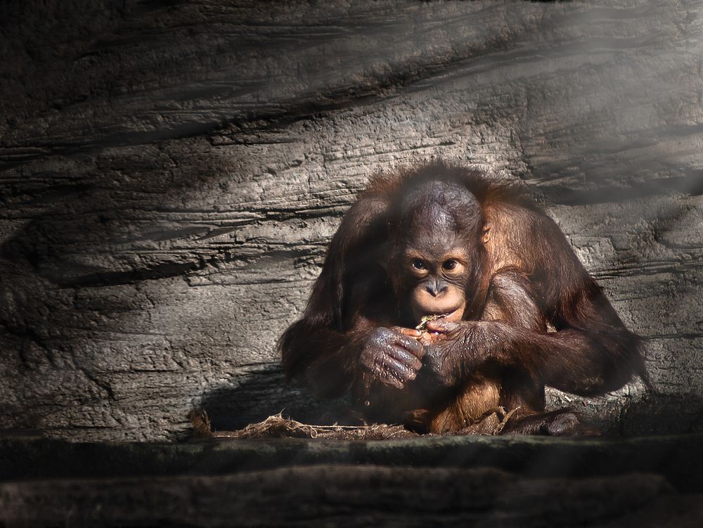 Photograph by Tatiana Teit Ash