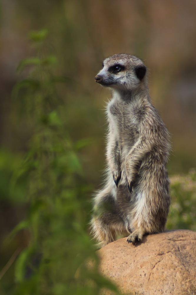 Photograph by Tatiana Teit Ash