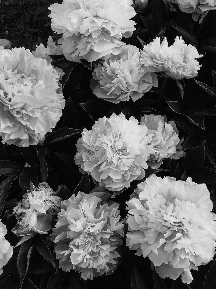 Photograph by Валерия Карпушина