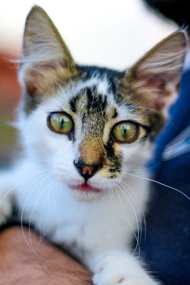 Photograph by Assal mouadh