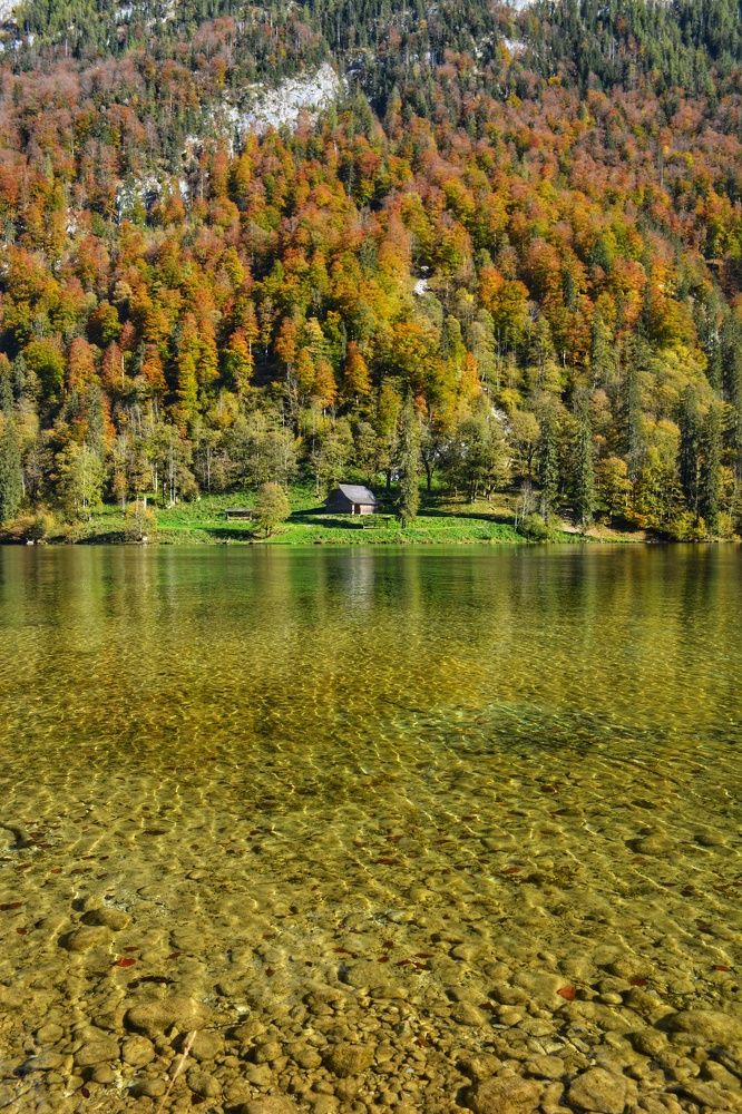 Фотография автора ANNA ILICHEVA