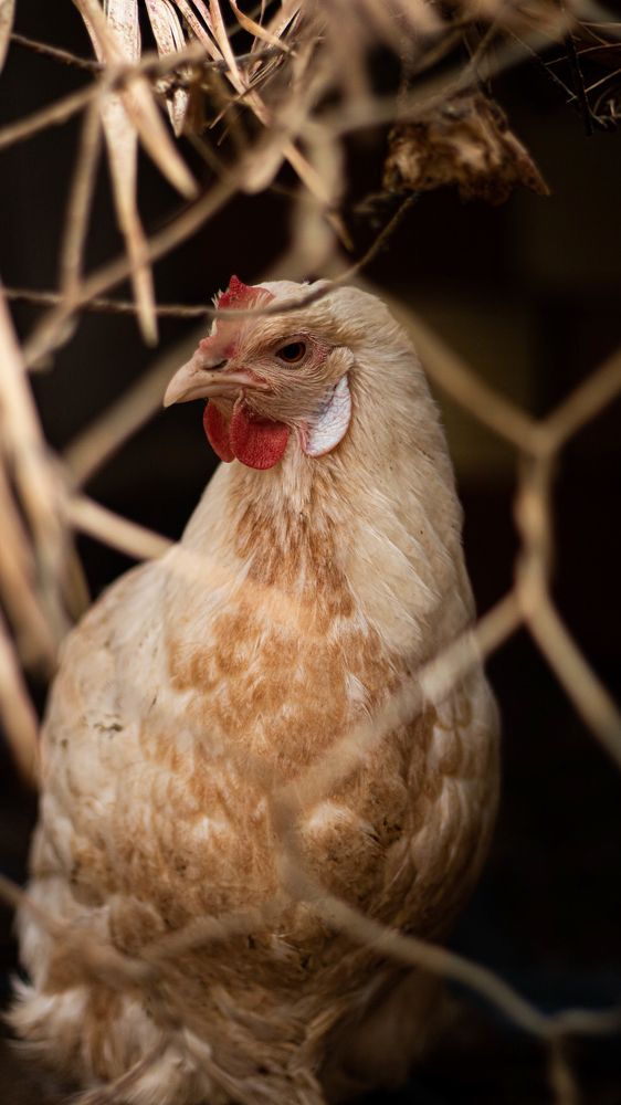 Photograph by Assal mouadh