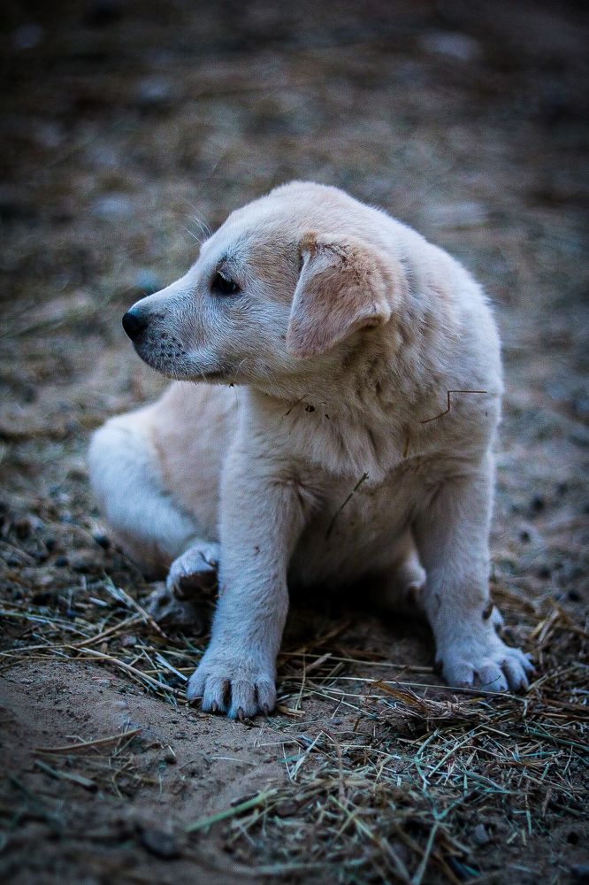 Photograph by Assal mouadh