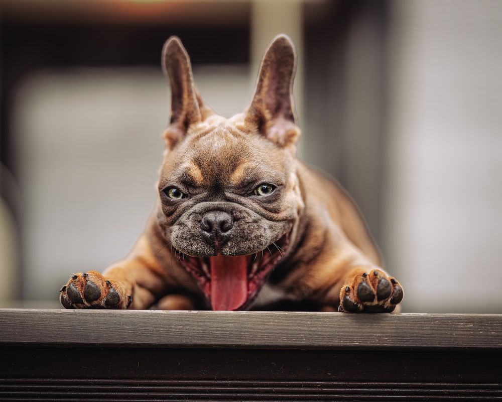 Photograph by Klaus Grimm