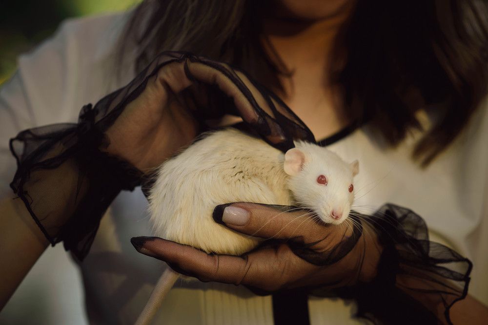 Photograph by Natali Alexandrova