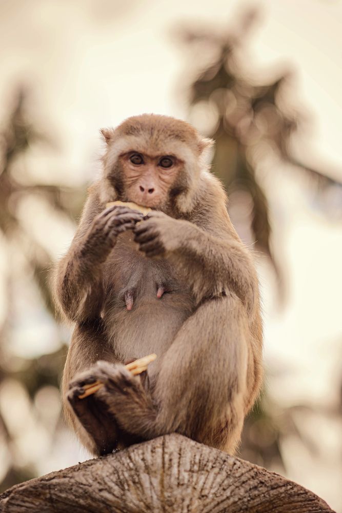 Photograph by Natali Alexandrova