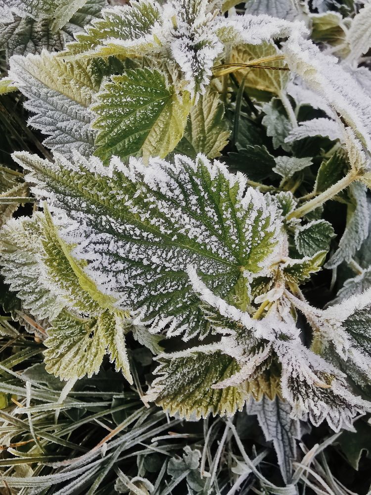 Photograph by Дарья Гомза