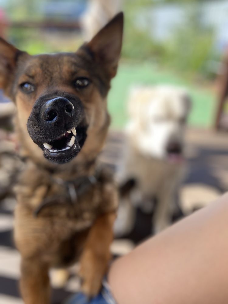 Photograph by Наталья Душакова