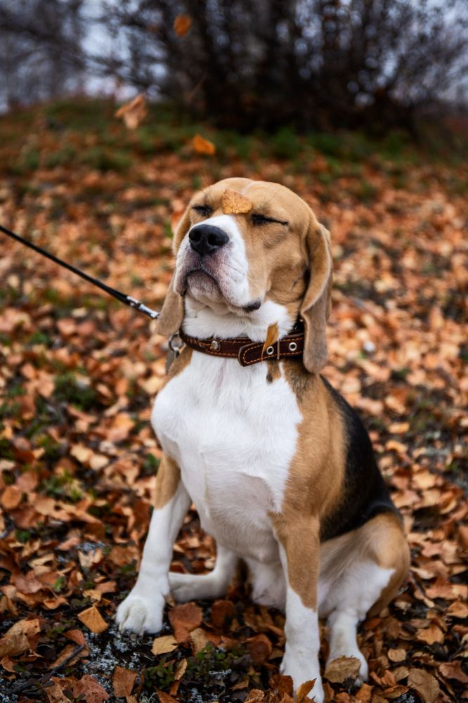 Photograph by Ксения Фёдорова