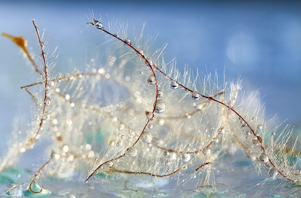 Photograph by Шруб (Беляева) Татьяна
