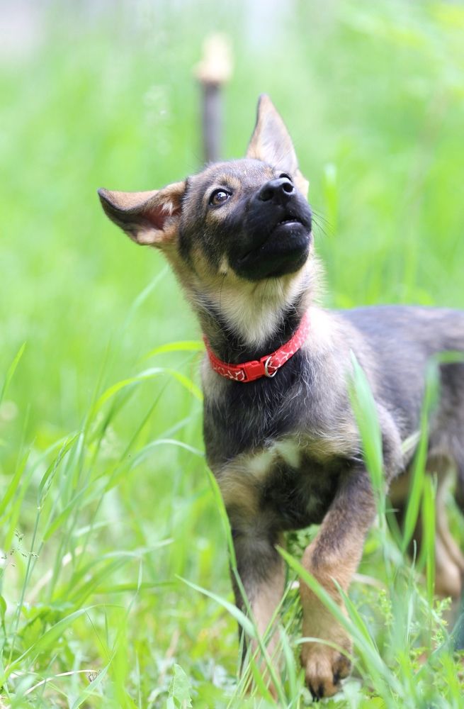 Photograph by Екатерина Прядко