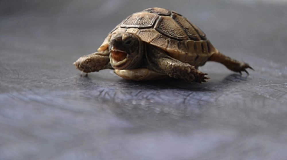 Photograph by Мария Зыкова