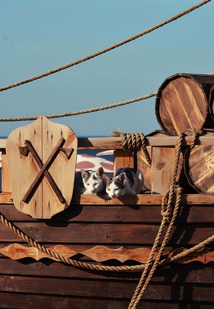 Photograph by Мария Зыкова