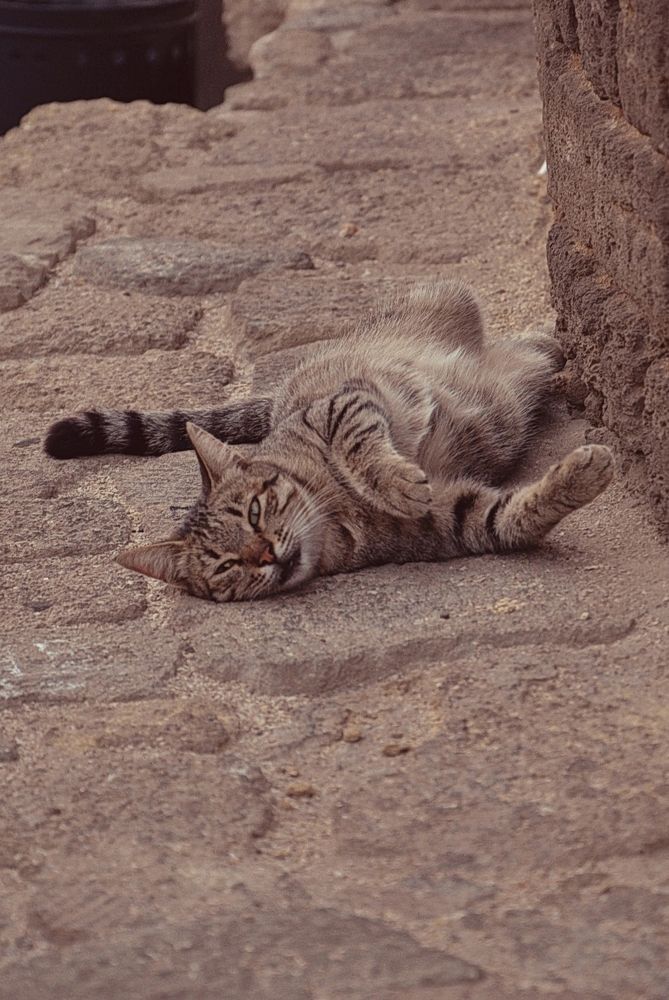 Photograph by Мария Зыкова