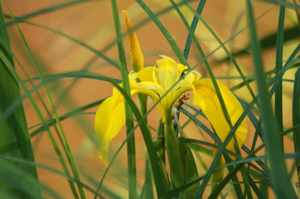 Фотография автора Егоров Максим