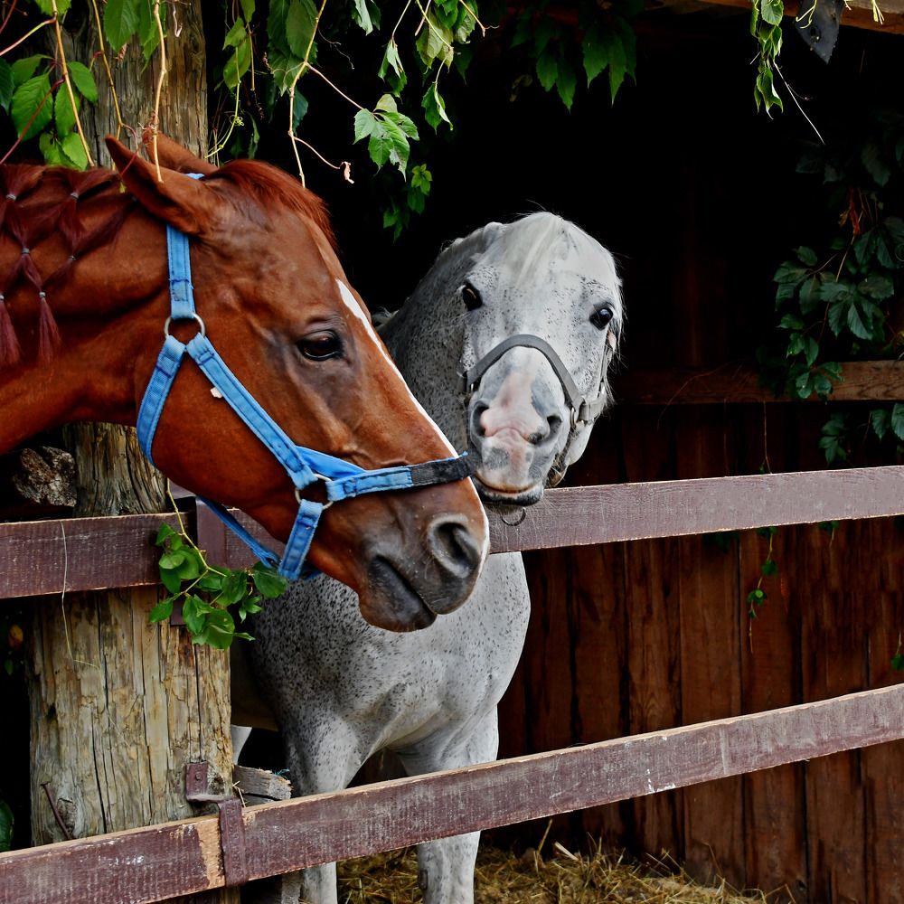 Photograph by Ксения Мироненко