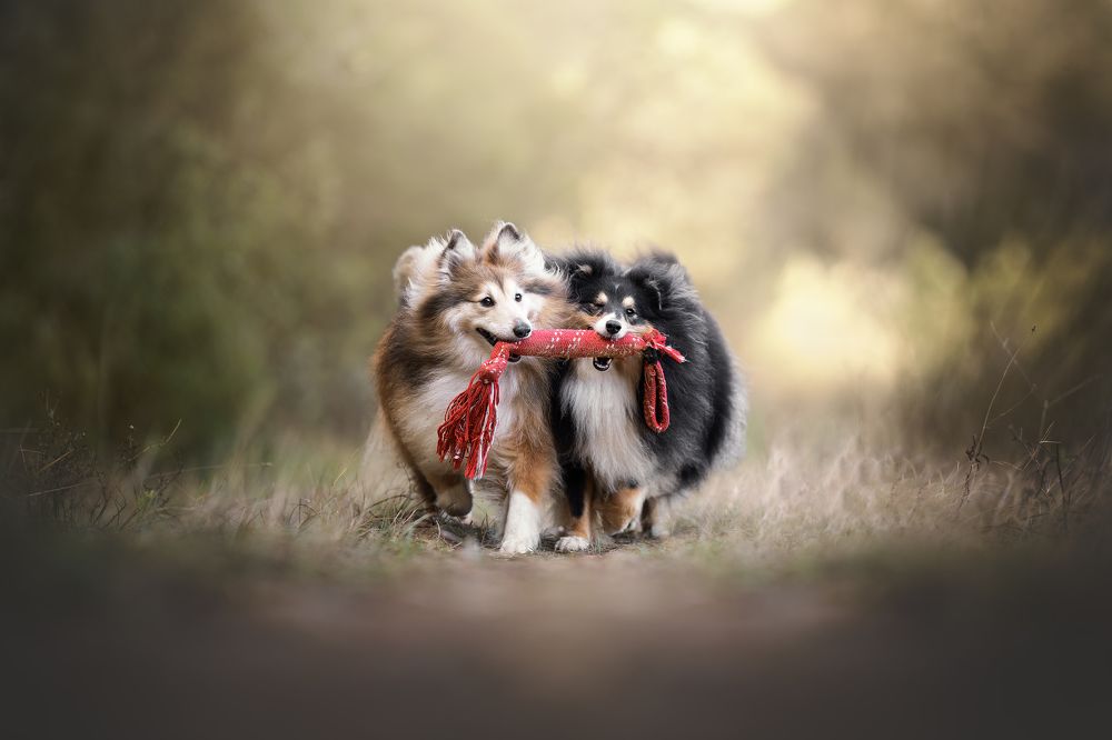 Photograph by Rut Casanellas