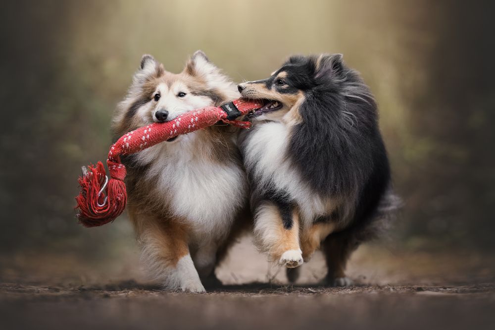 Фотография автора Rut Casanellas