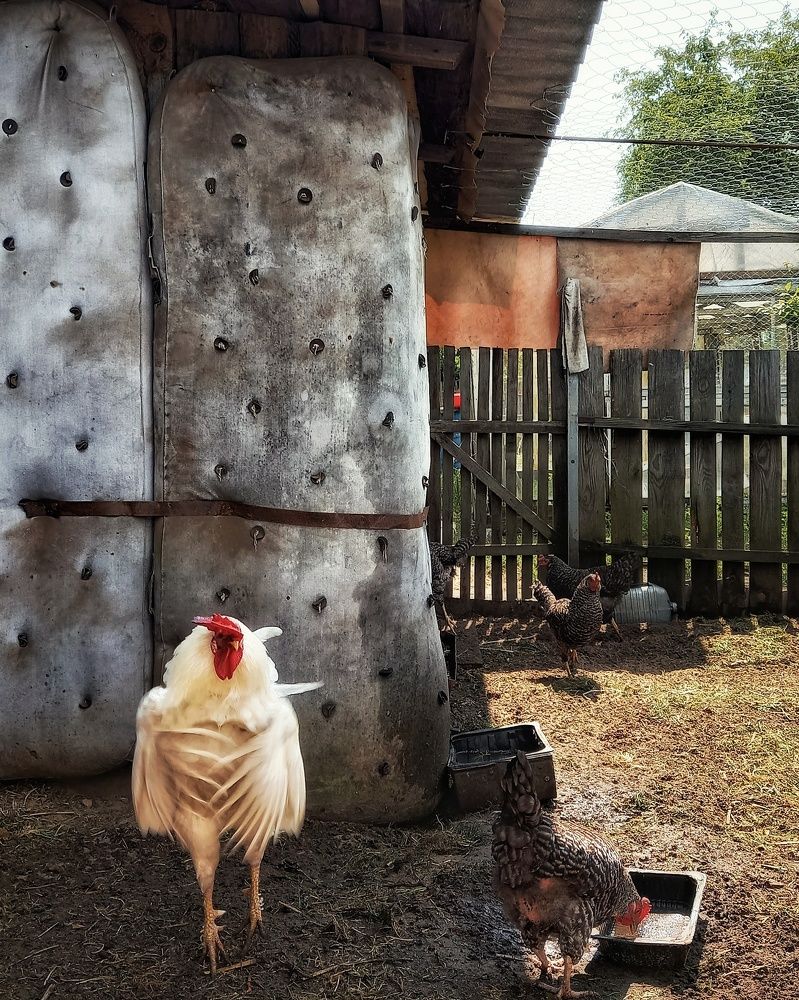 Photograph by Svetlana Yurasova